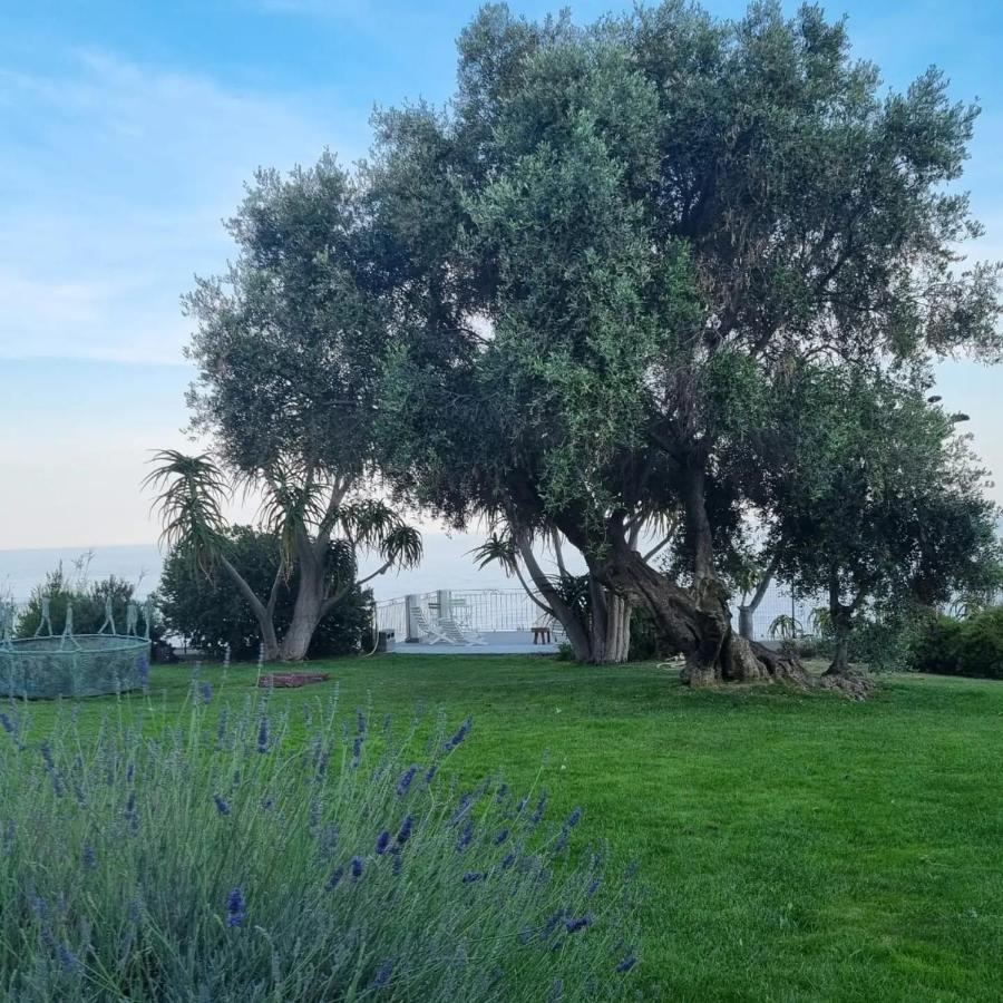 Agriturismo La Tuffatrice Imperia Esterno foto