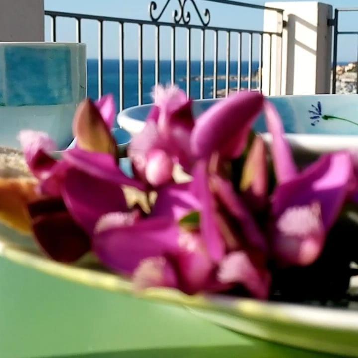 Agriturismo La Tuffatrice Imperia Esterno foto