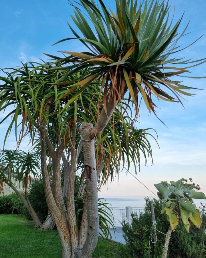 Agriturismo La Tuffatrice Imperia Esterno foto