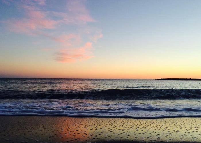 Agriturismo La Tuffatrice Imperia Esterno foto