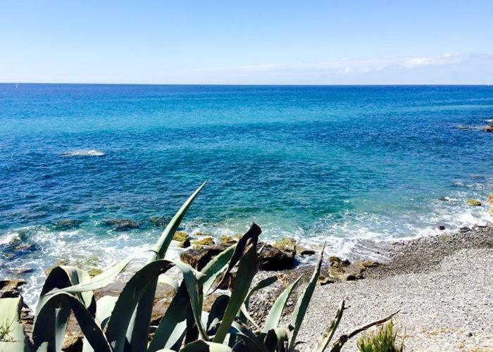 Agriturismo La Tuffatrice Imperia Esterno foto